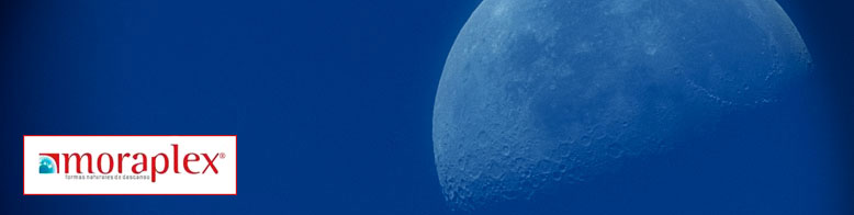 foto_4